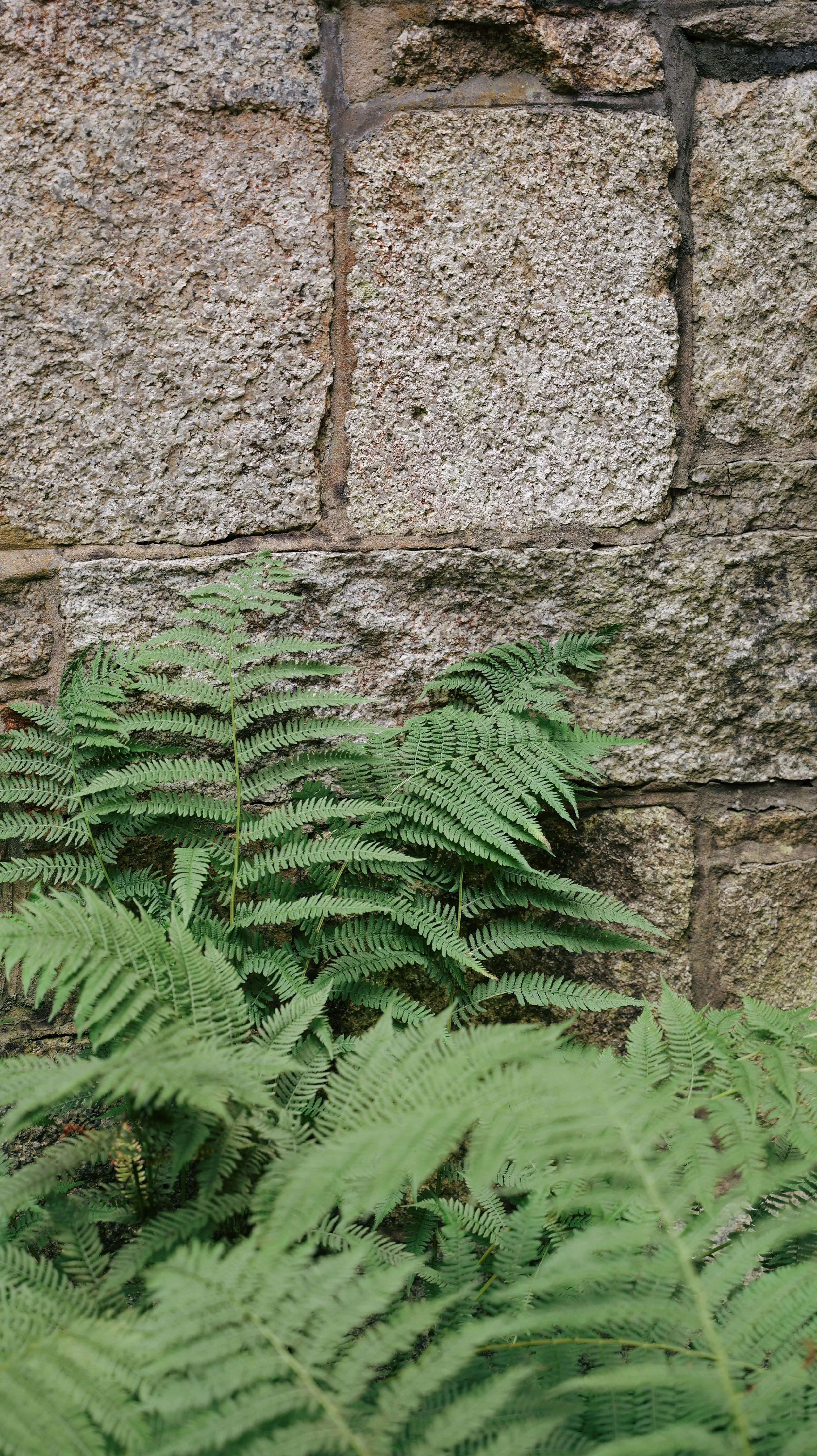 P1025285_VSCO.JPG