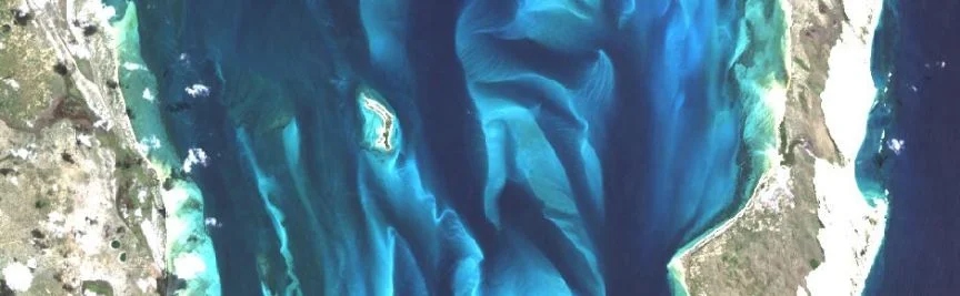 Seagrass mapping in the cloud