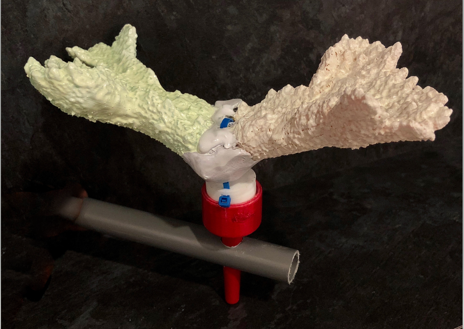 Modular Coral Outplant Anchor