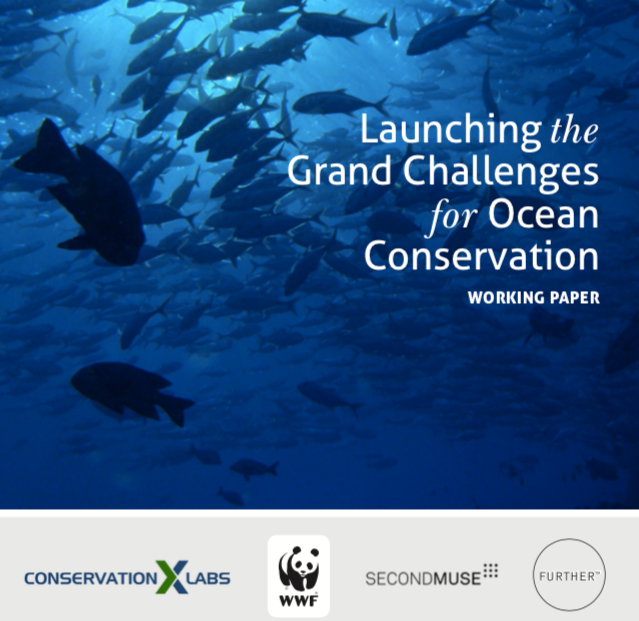 Launching the Grand Challenges for Ocean Conservation Working Paper