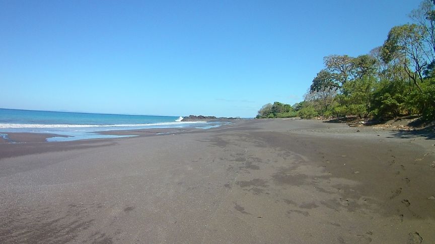 Stopping IWT in Colombia