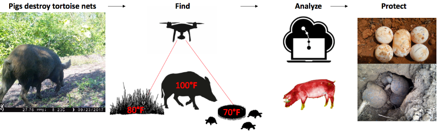 Pig-finding Thermal Drones
