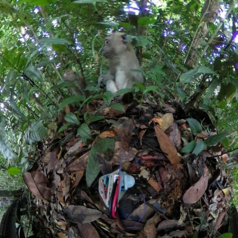 360 Camera Traps