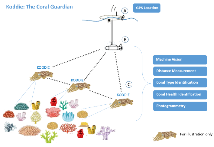 Koddie: The Coral Guardian