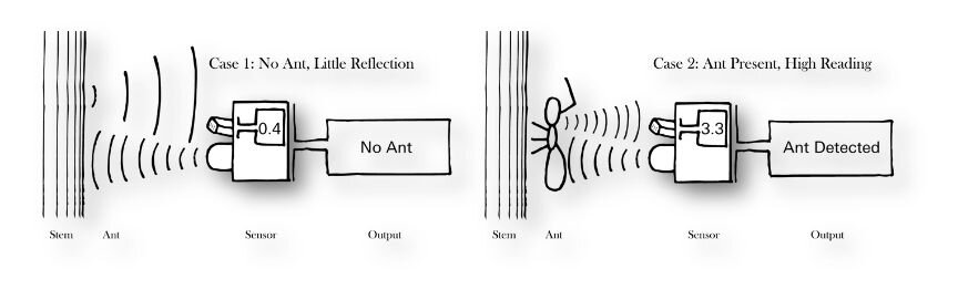 Wild Insect Traffic Sensors