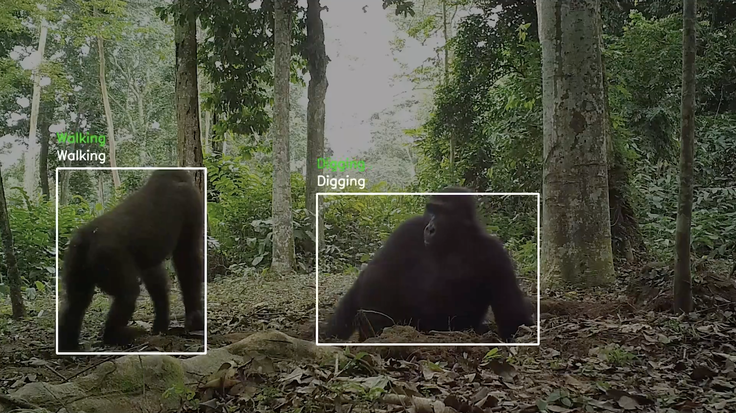 Screen Shot 2022-06-02 at 3.16.40 PM.png