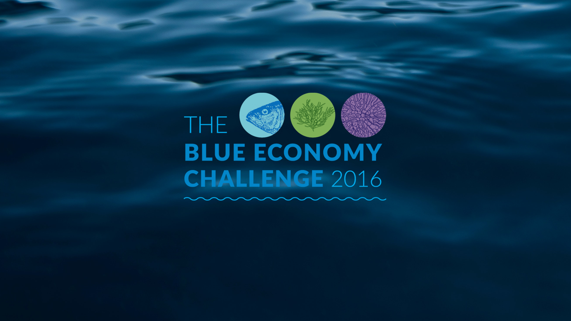 The Blue Economy Challenge