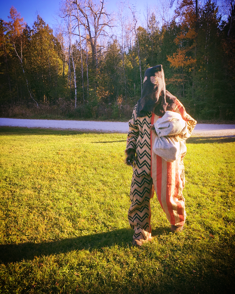 DR WI November 2016 (69).png