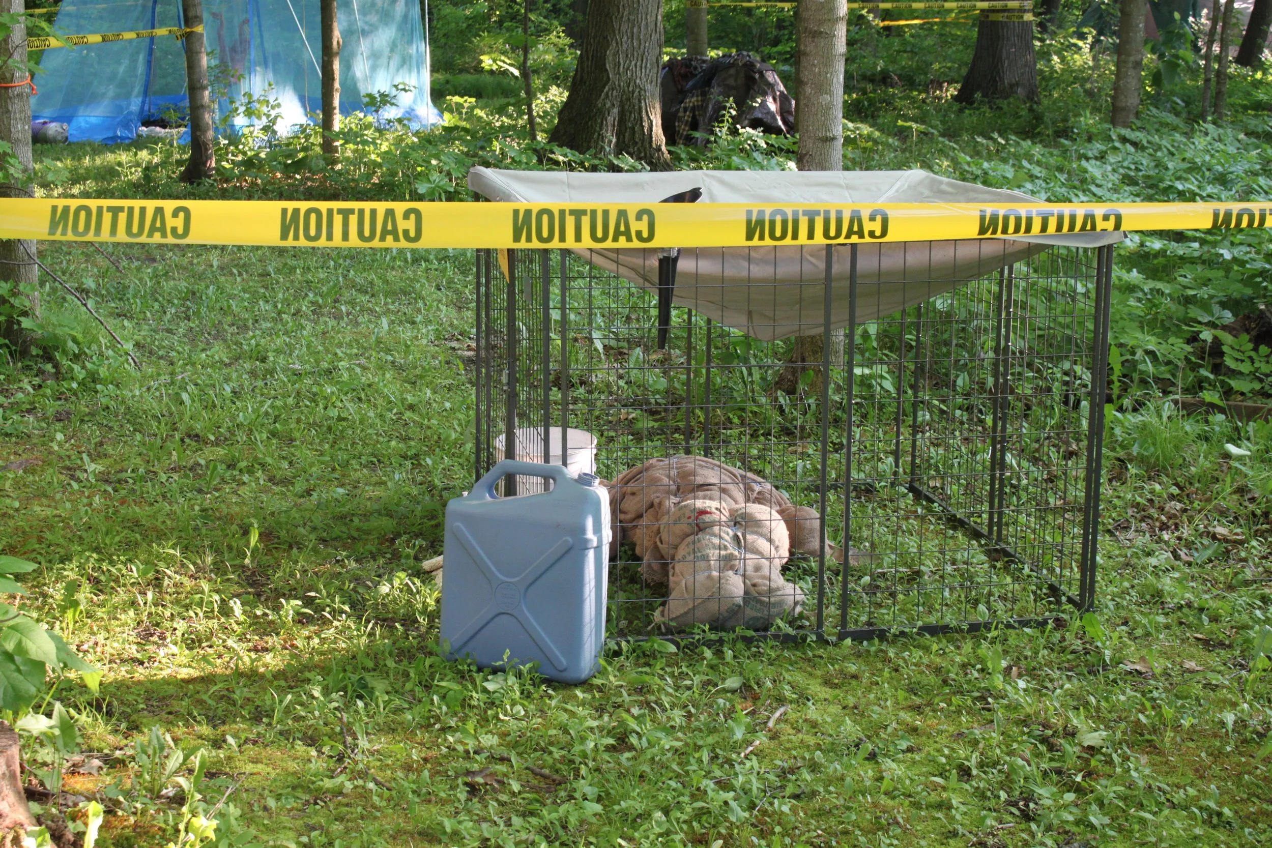 Cage1.JPG