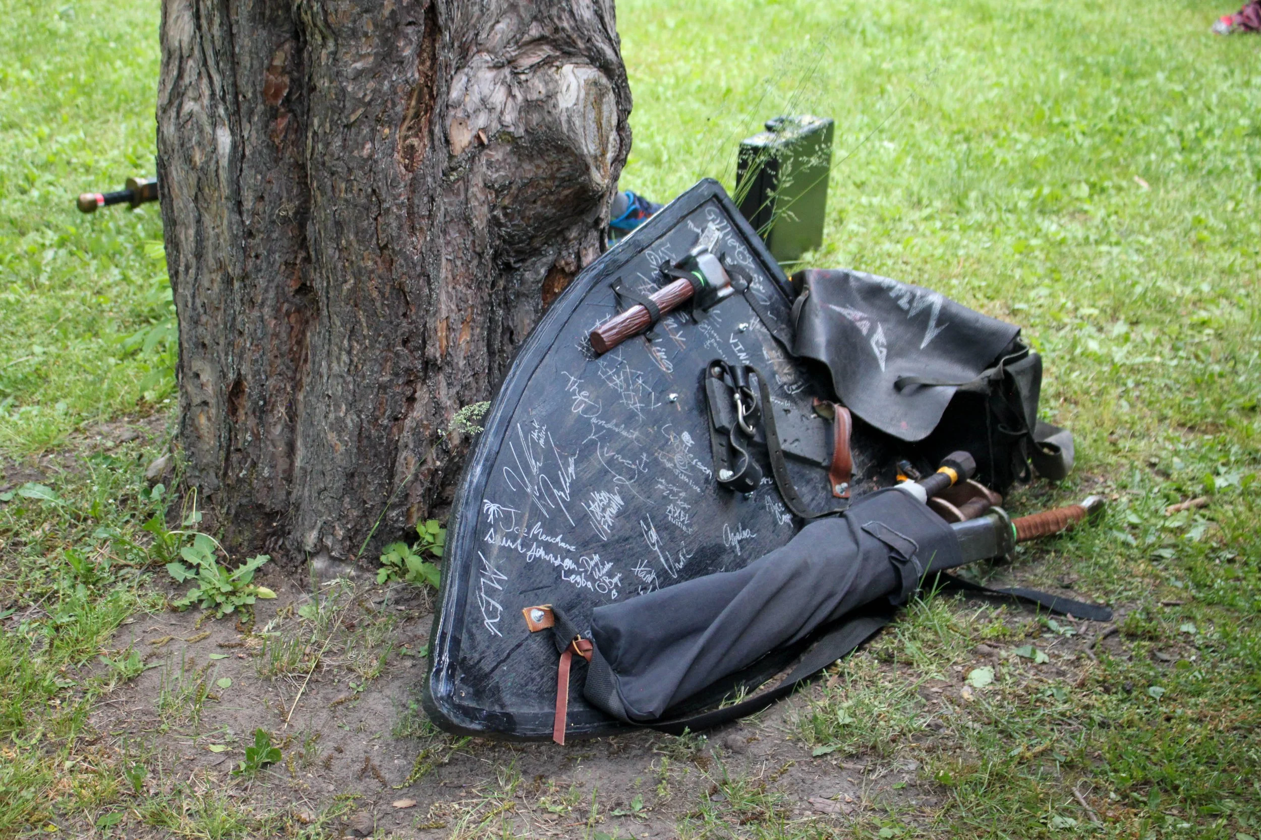 Shield.jpg