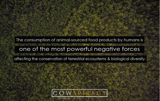 The above quote is from Science of The Total Environment, Volume 536, 1 December 2015, Pages 419–431. The documentary Cowspiracy sums up a lot of the science and helps viewers understand why no one is talking about the elephant in the room, including environmental groups.