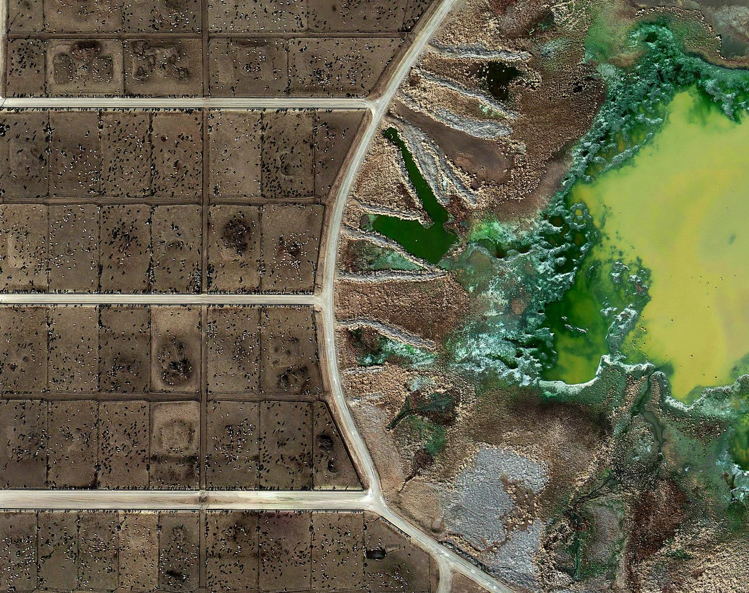 In this aerial view, the little potatoes are the dots on the left and their waste is pictured in the "lagoon" on the right.