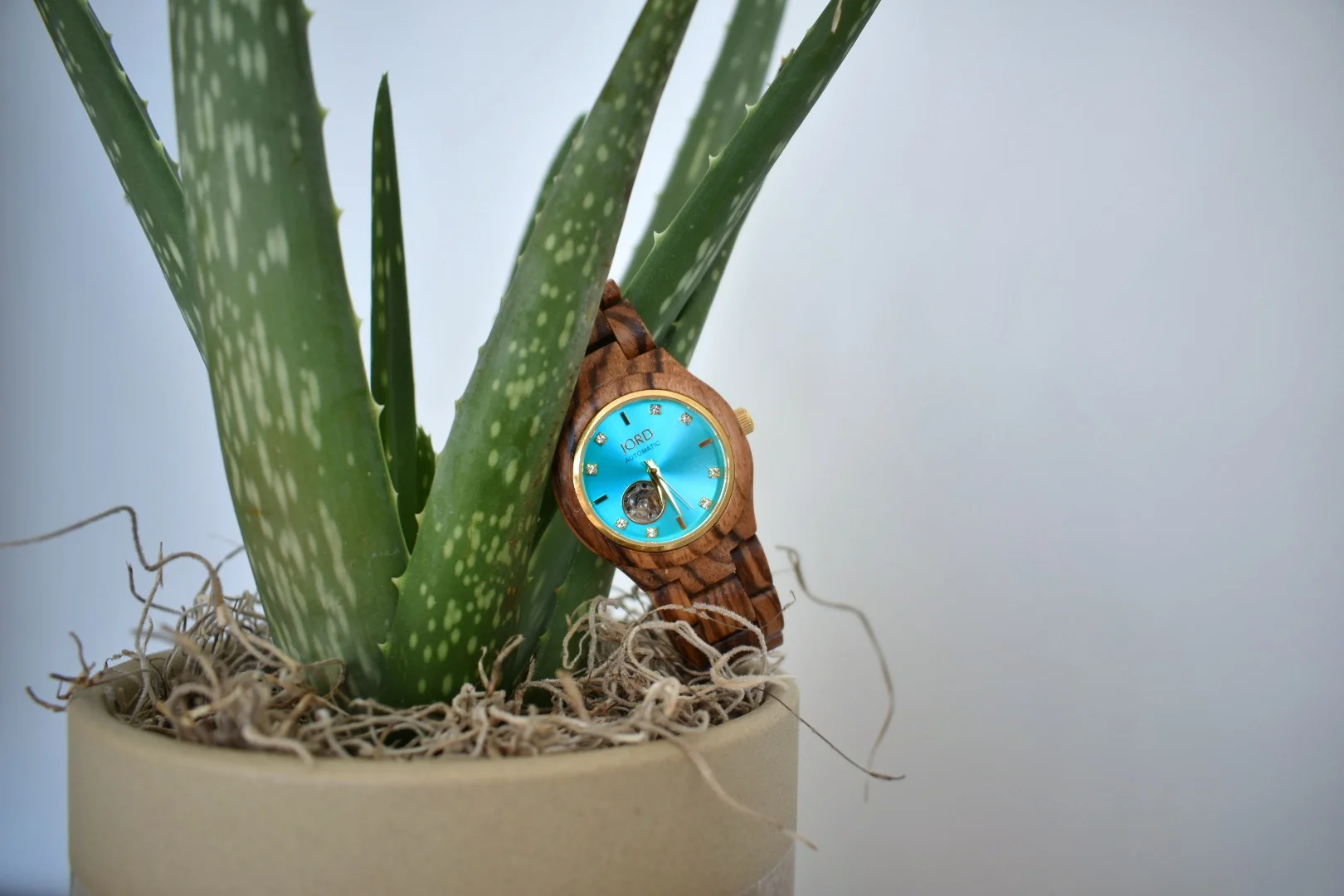 JORD Watches + Giveaway