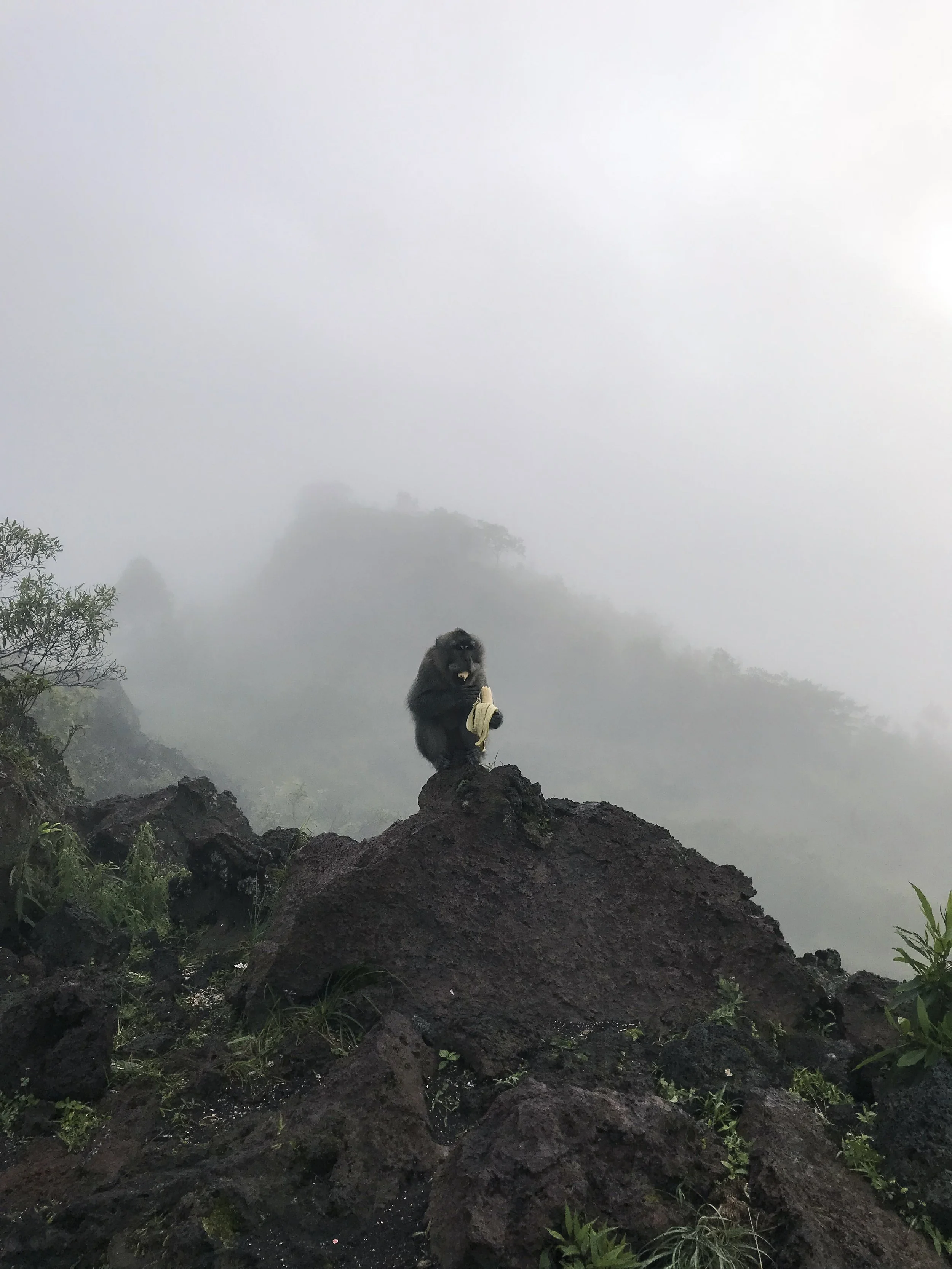 Horror Stories from our 90 Days Away