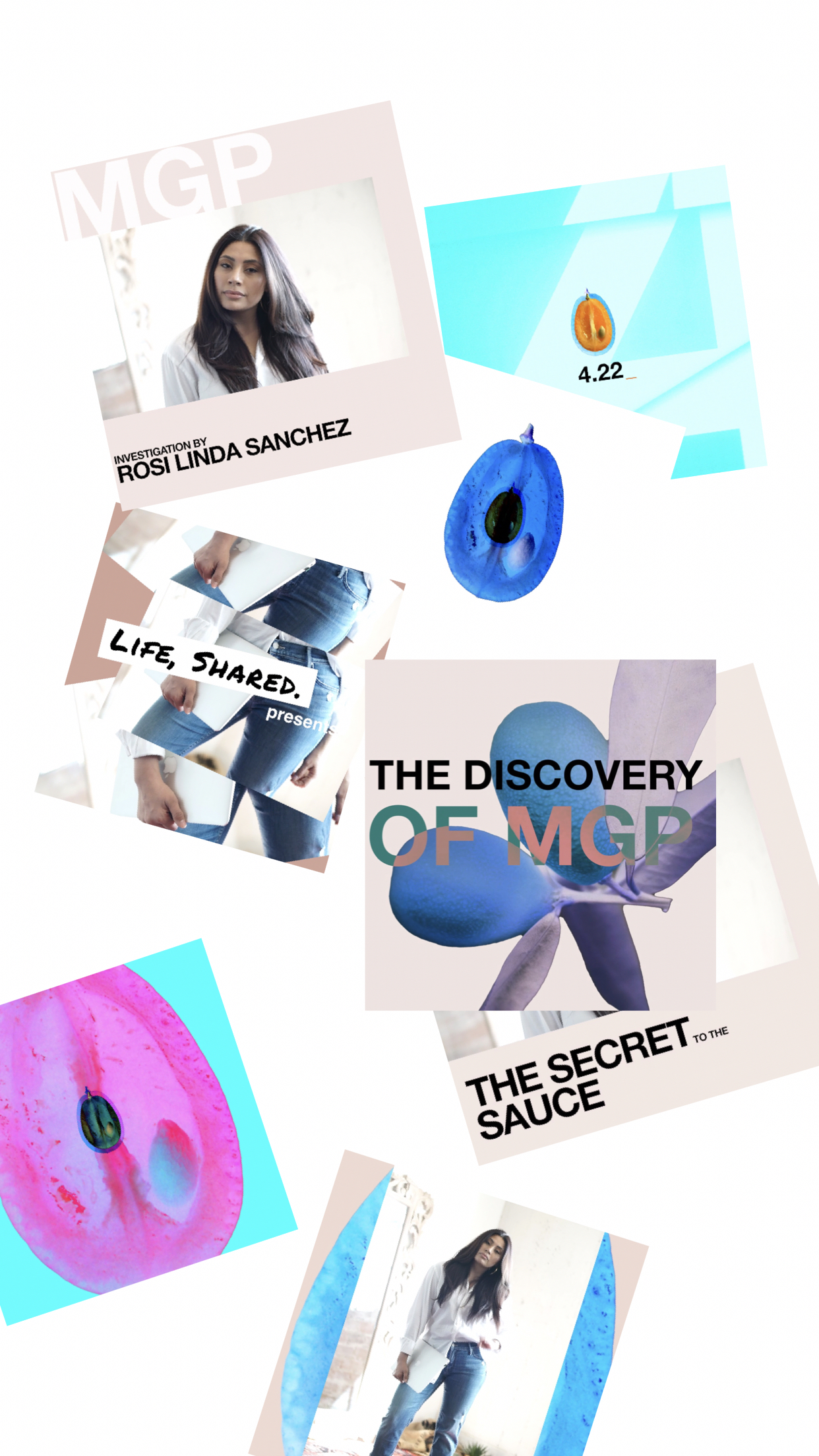 collage.JPG