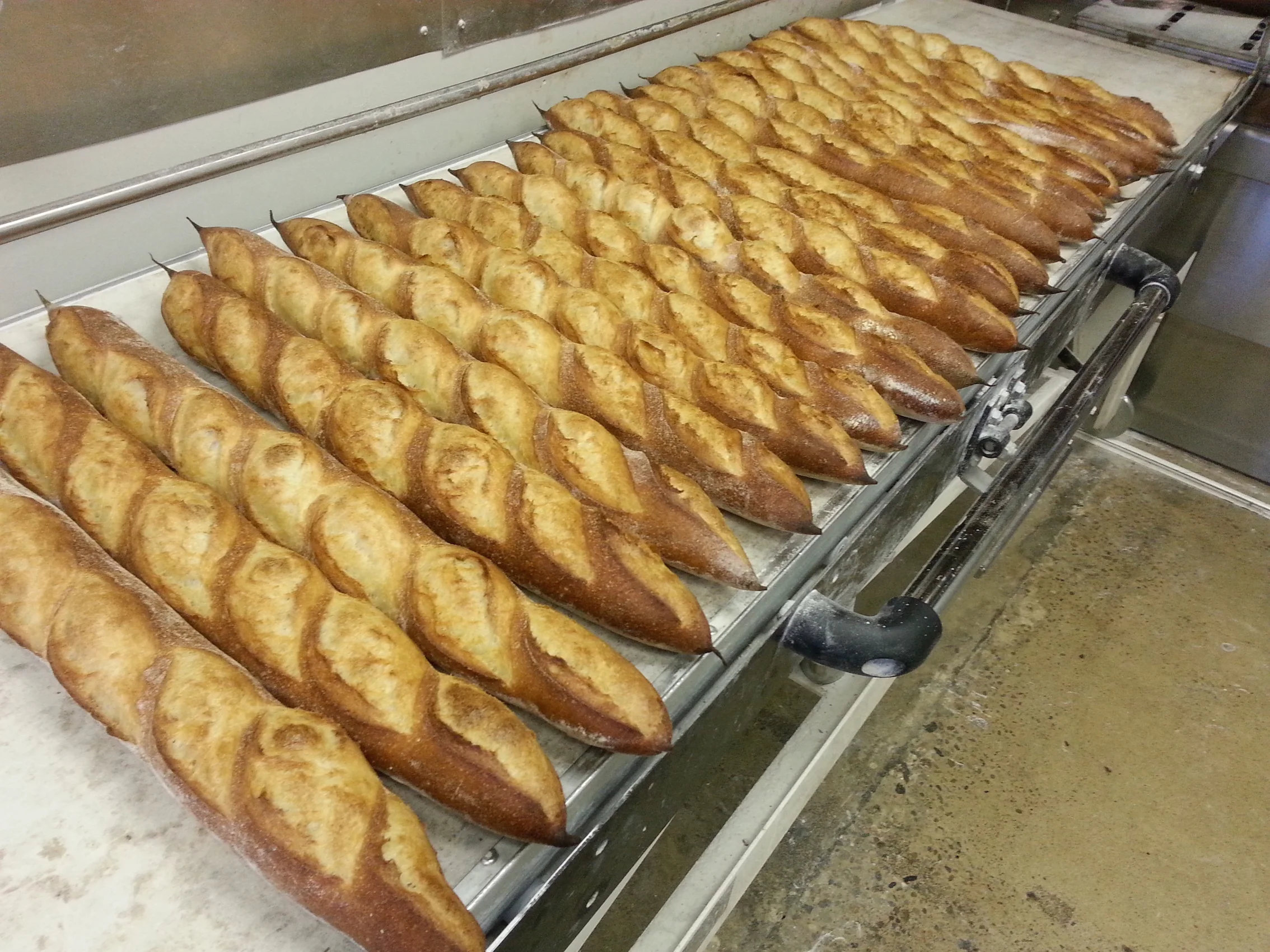 Baguettes Jan2014 copy.jpg