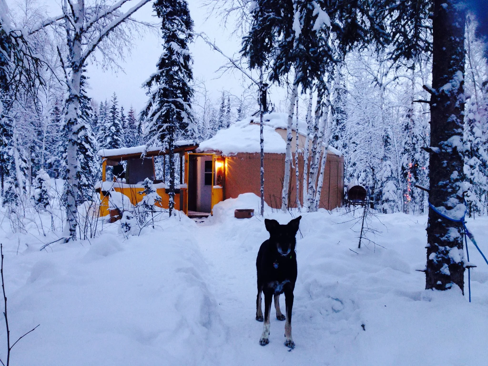 Dog not included (Photo by Dyre Dammann)