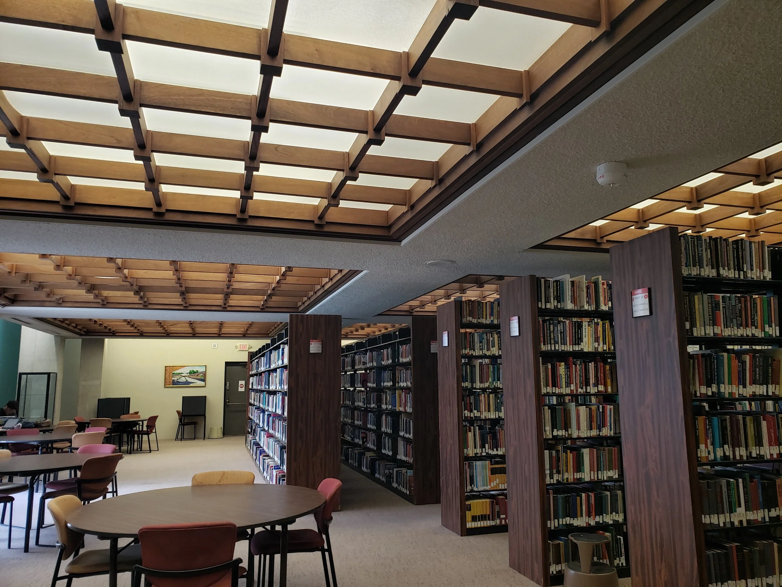 lighting & ceiling to accentuate bookcases.jpg