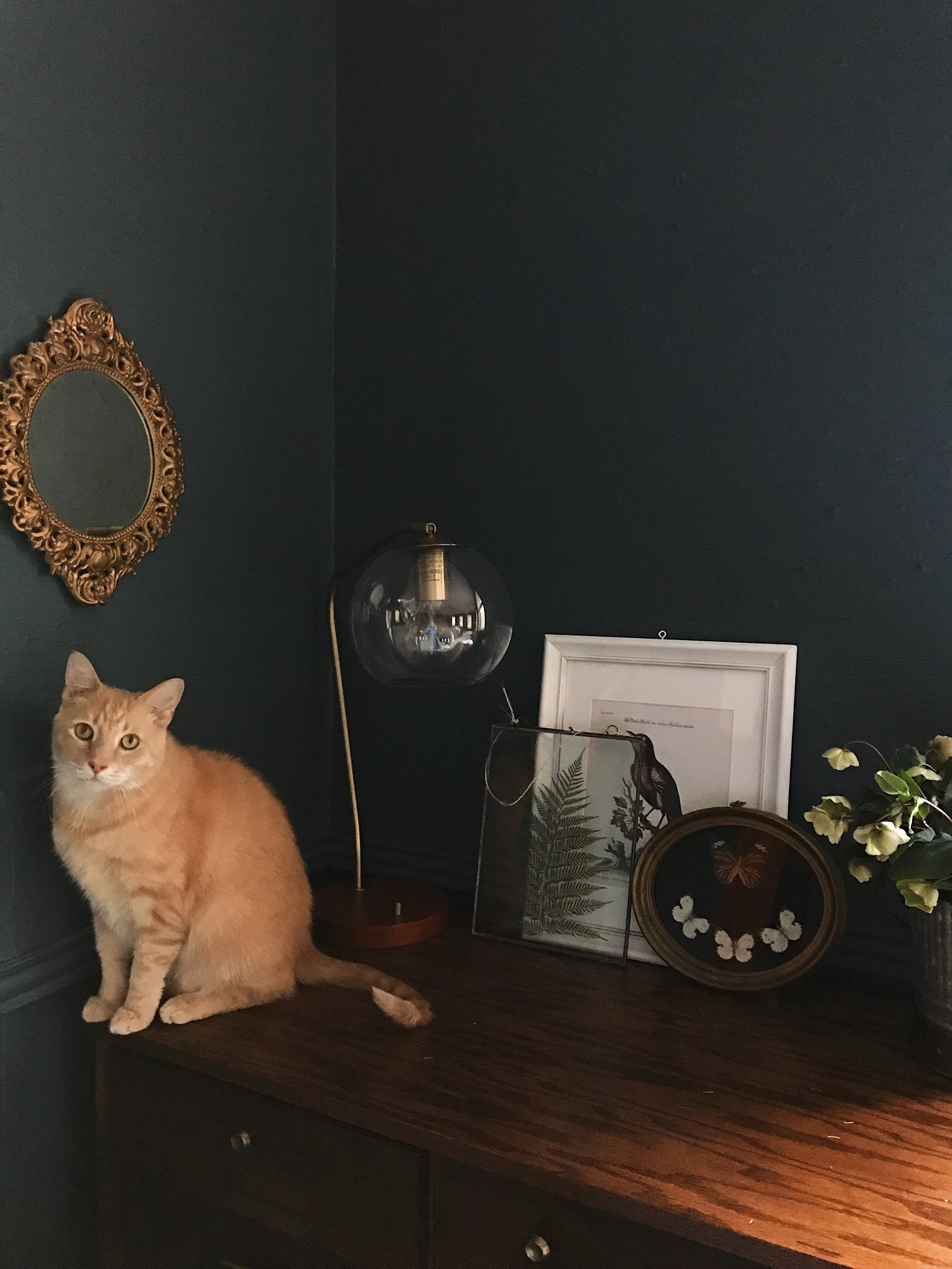 said desk area (and my baby, Theo)