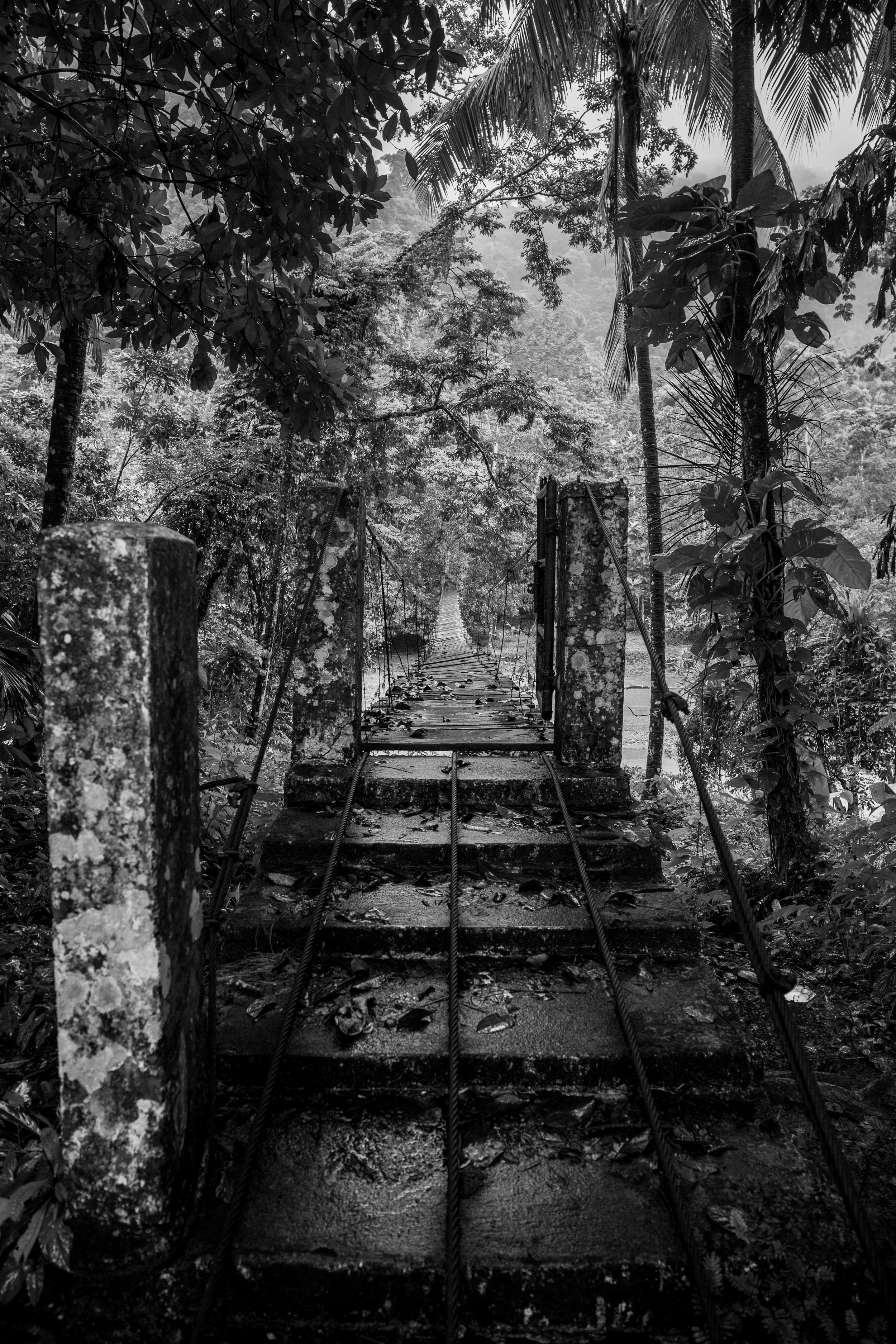 Puente de Puyacatengo