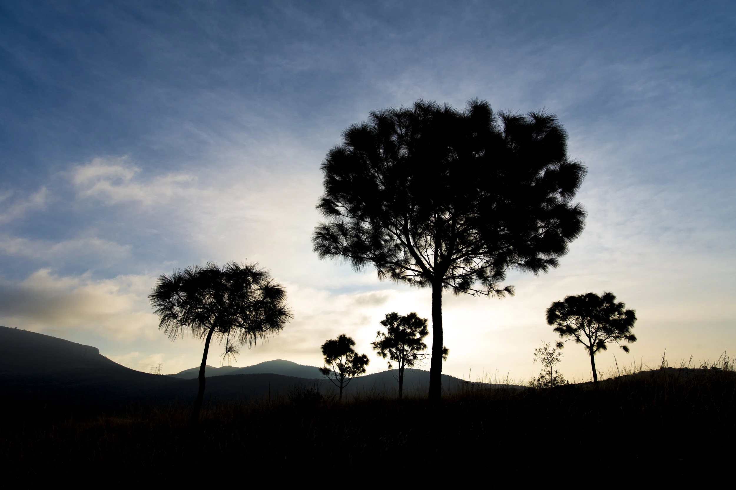 Amanecer en la Sierra de Patlachique