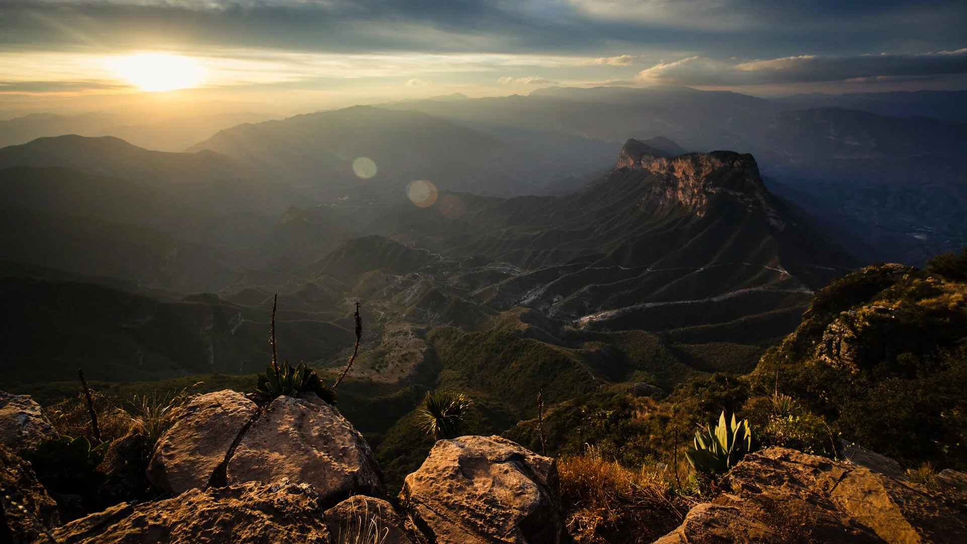 website cover-7.jpg