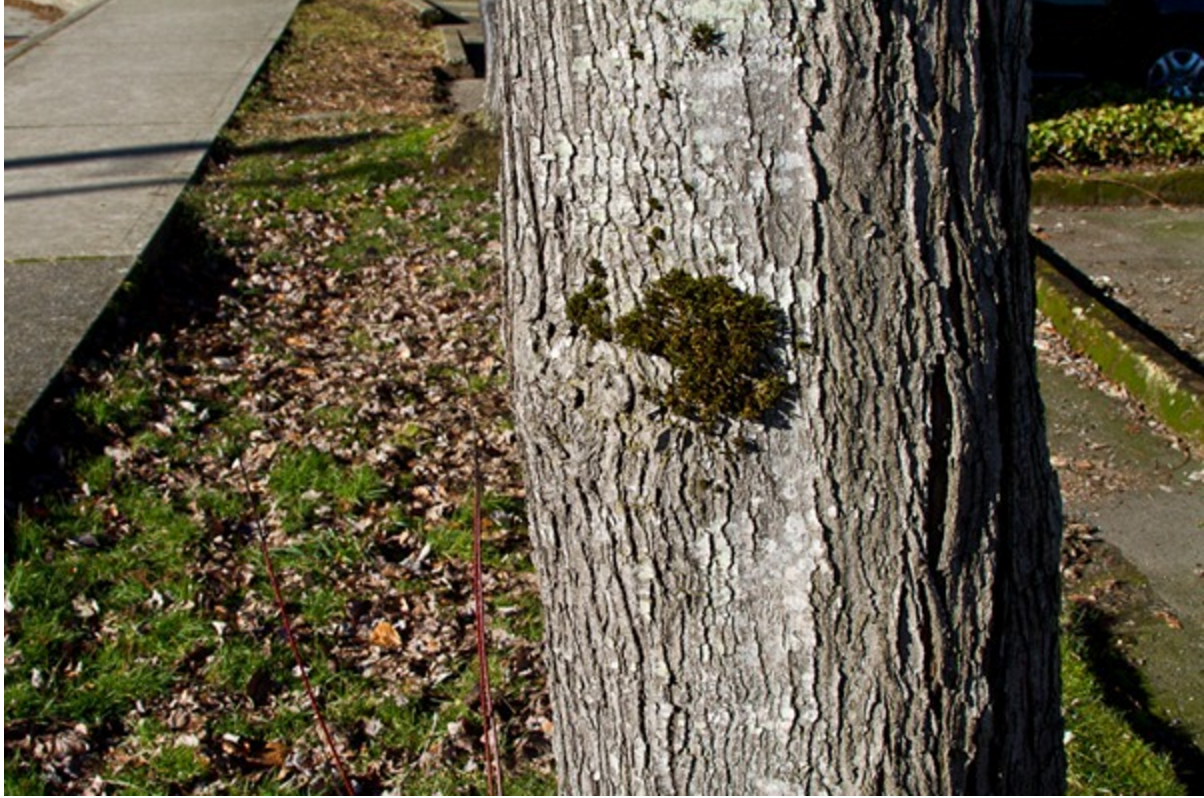 Image Source: digital photography school