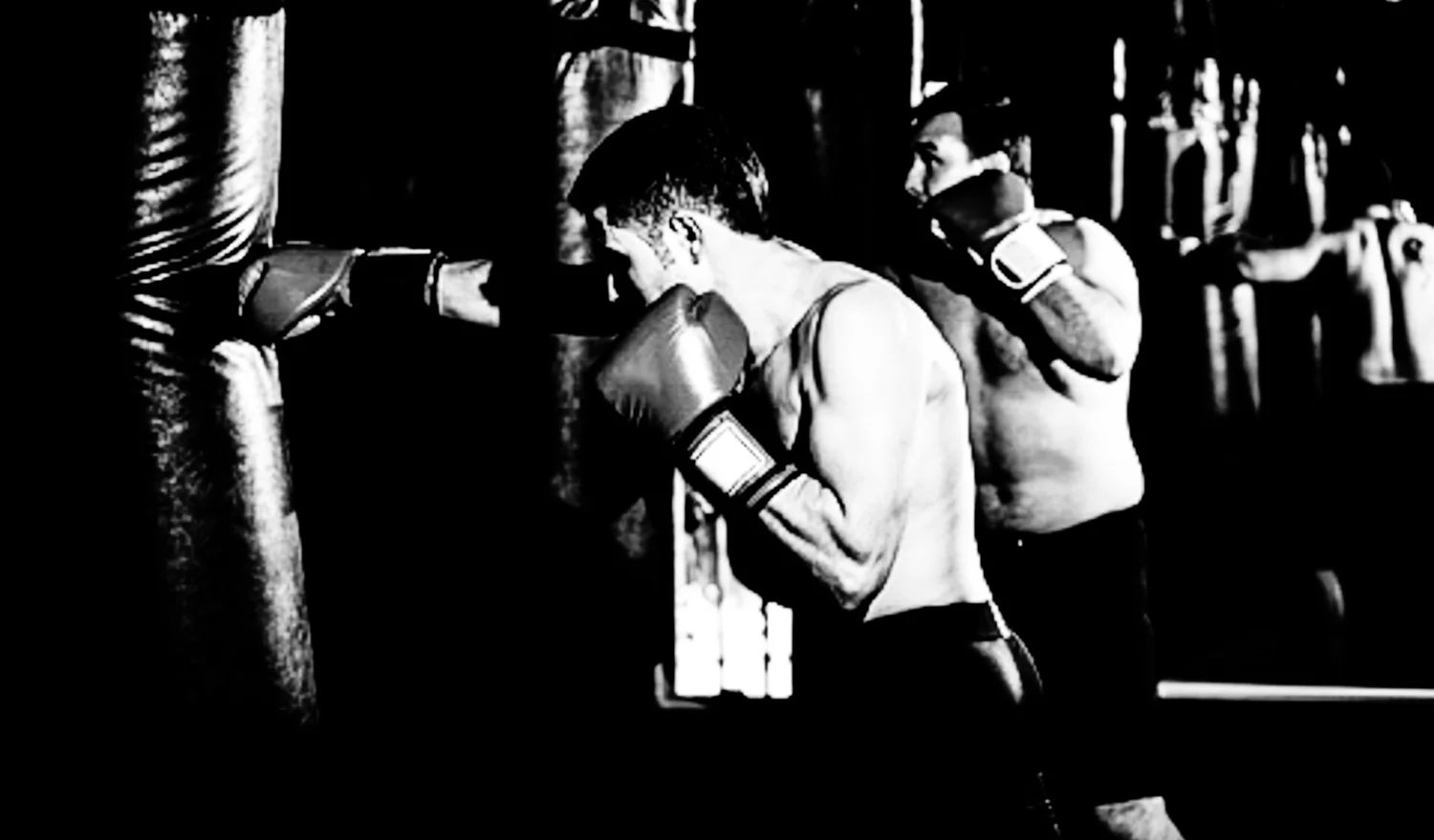 mom_shutterstock_150793616_boxer.jpg