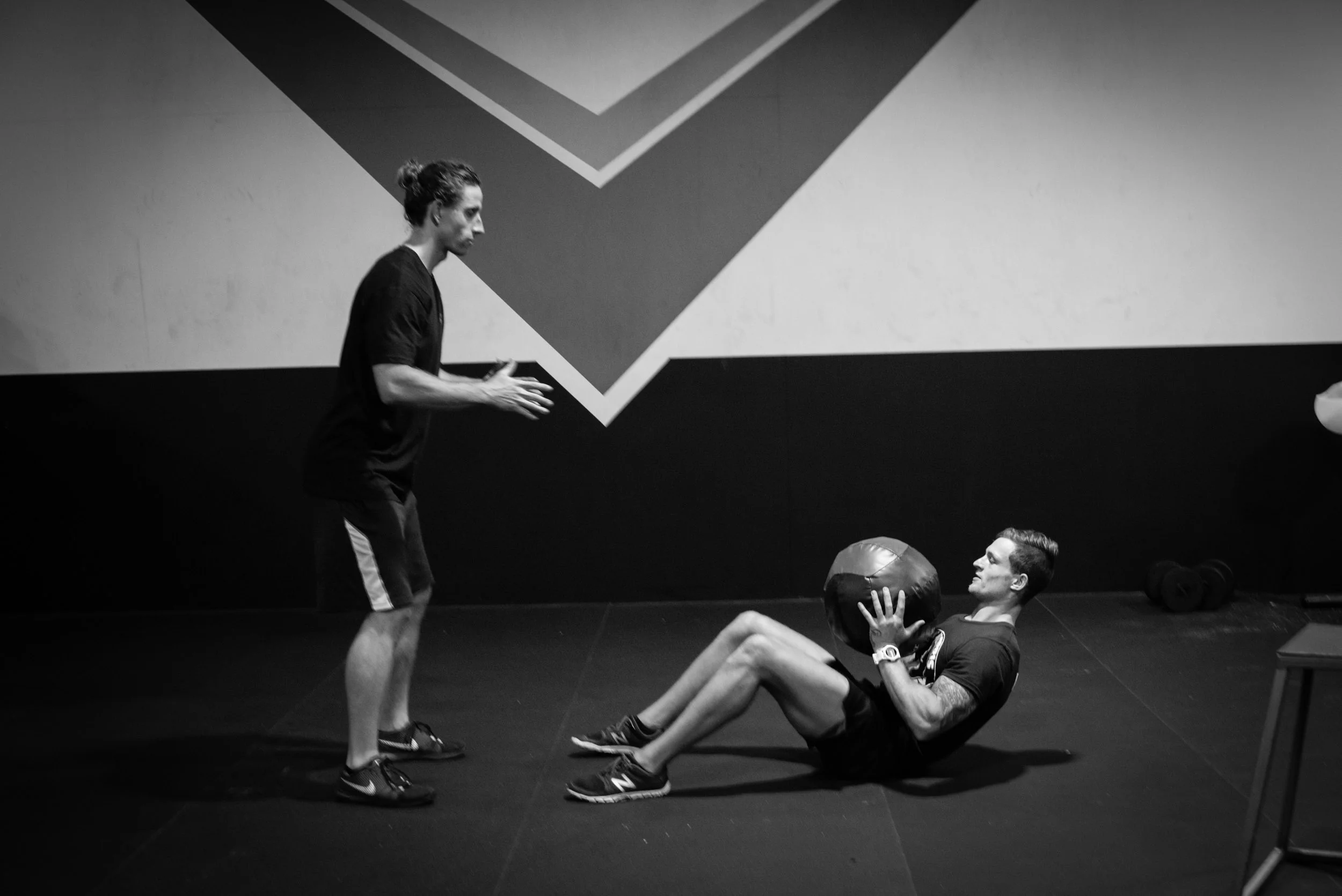 SHRED CONDITIONING