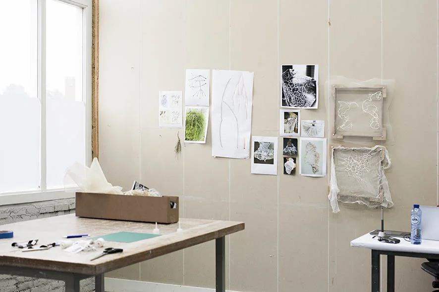 Segunda semana de residencia, el estudio va adquiriendo carácter.
