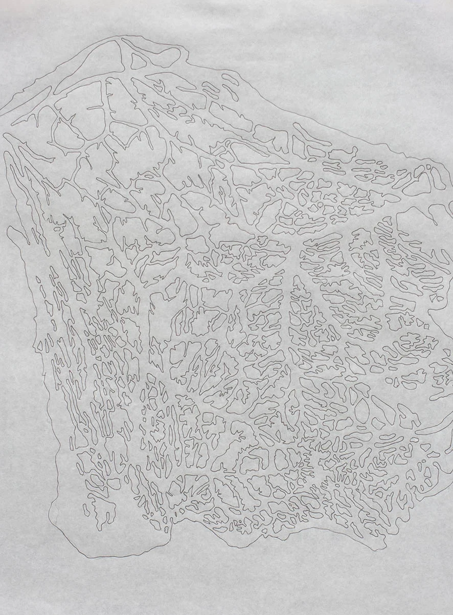 Dibujo de llenos y vacíos del redaño.