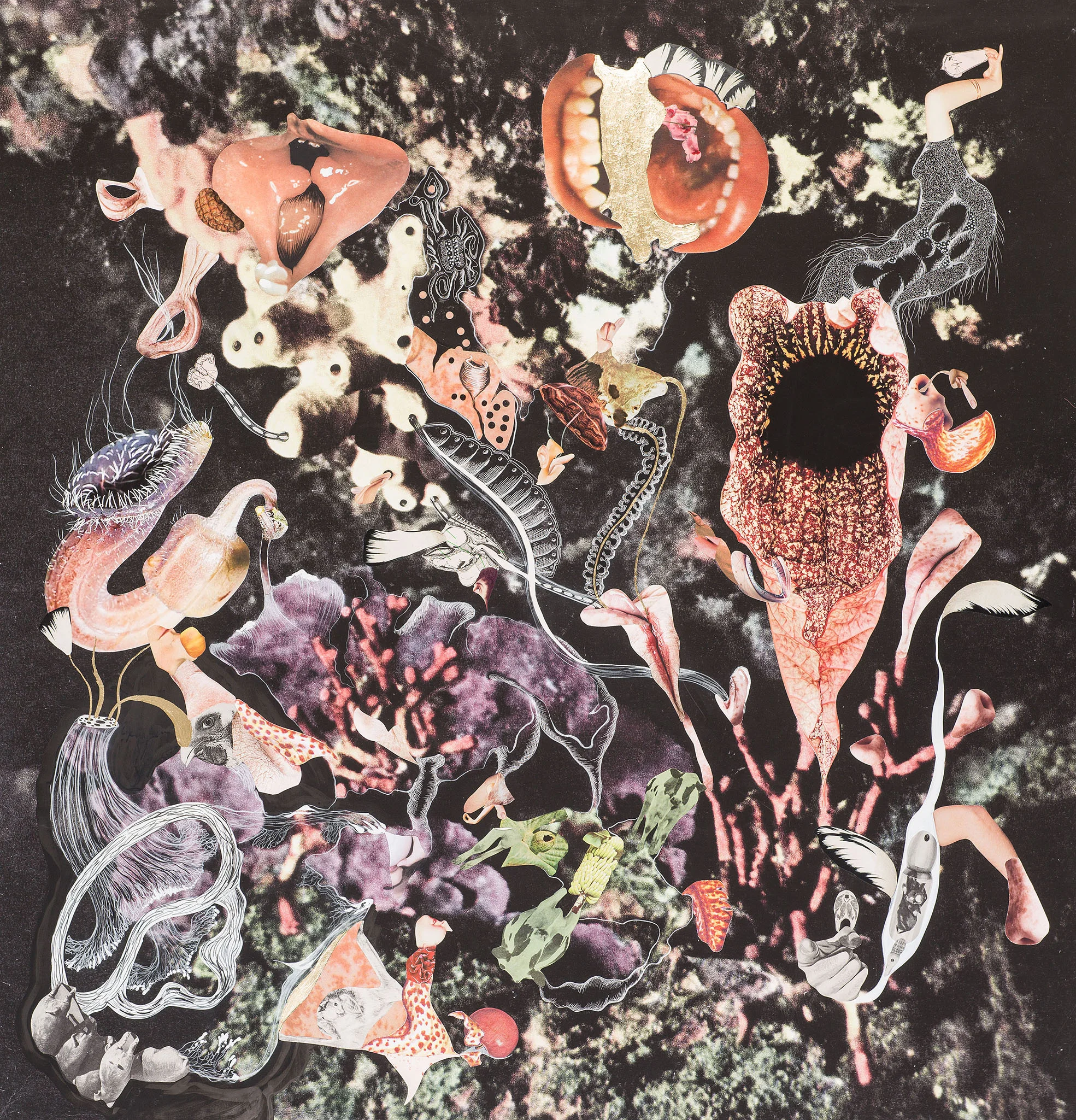 Naturaleza Cosmética Collage, lápiz, hojilla y tinta sobre impresión giclée 109 x 109 cm