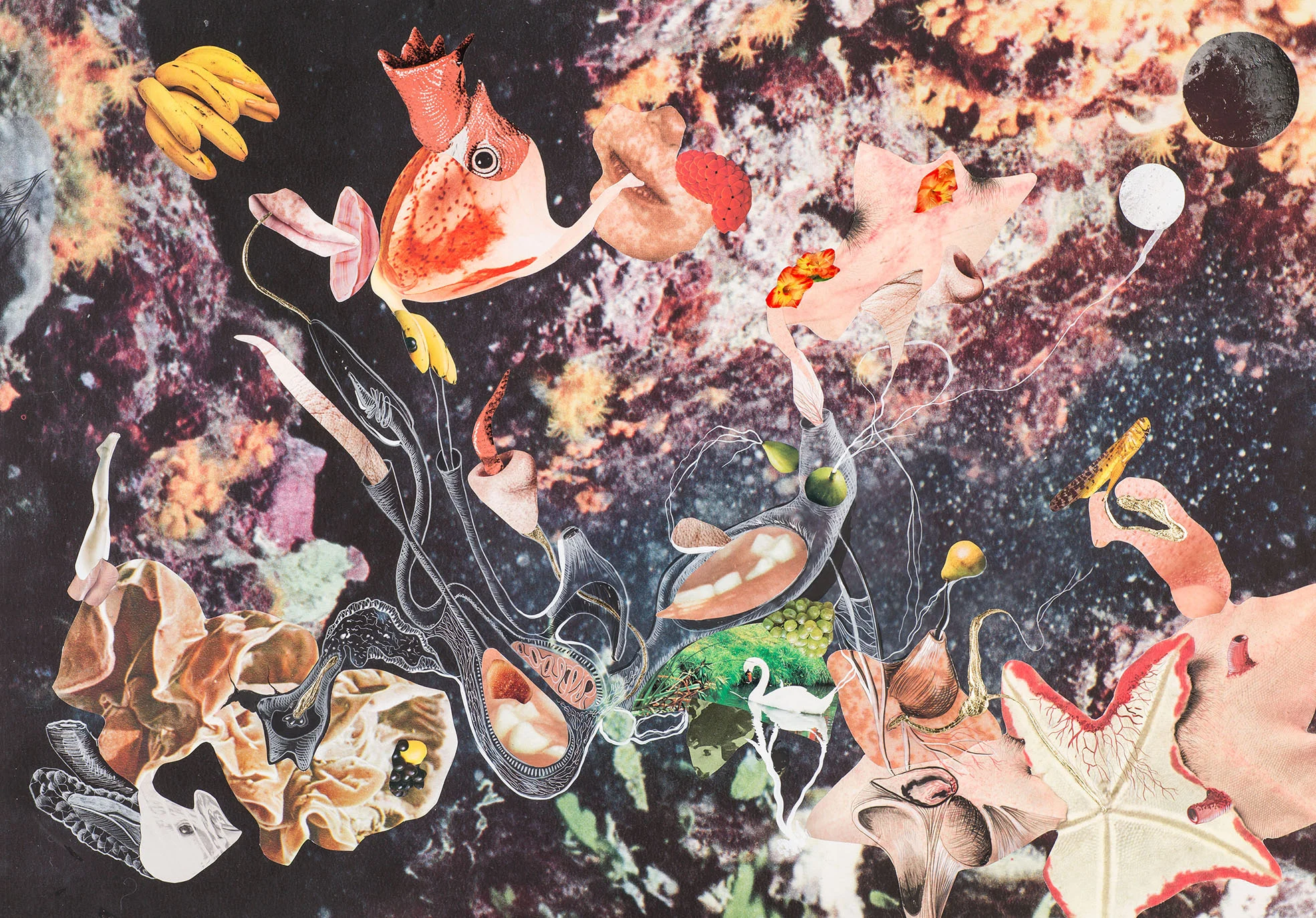 Naturaleza Cosmética Collage, grafito, hojilla y tinta sobre impresión giclée 90 x 70 cm