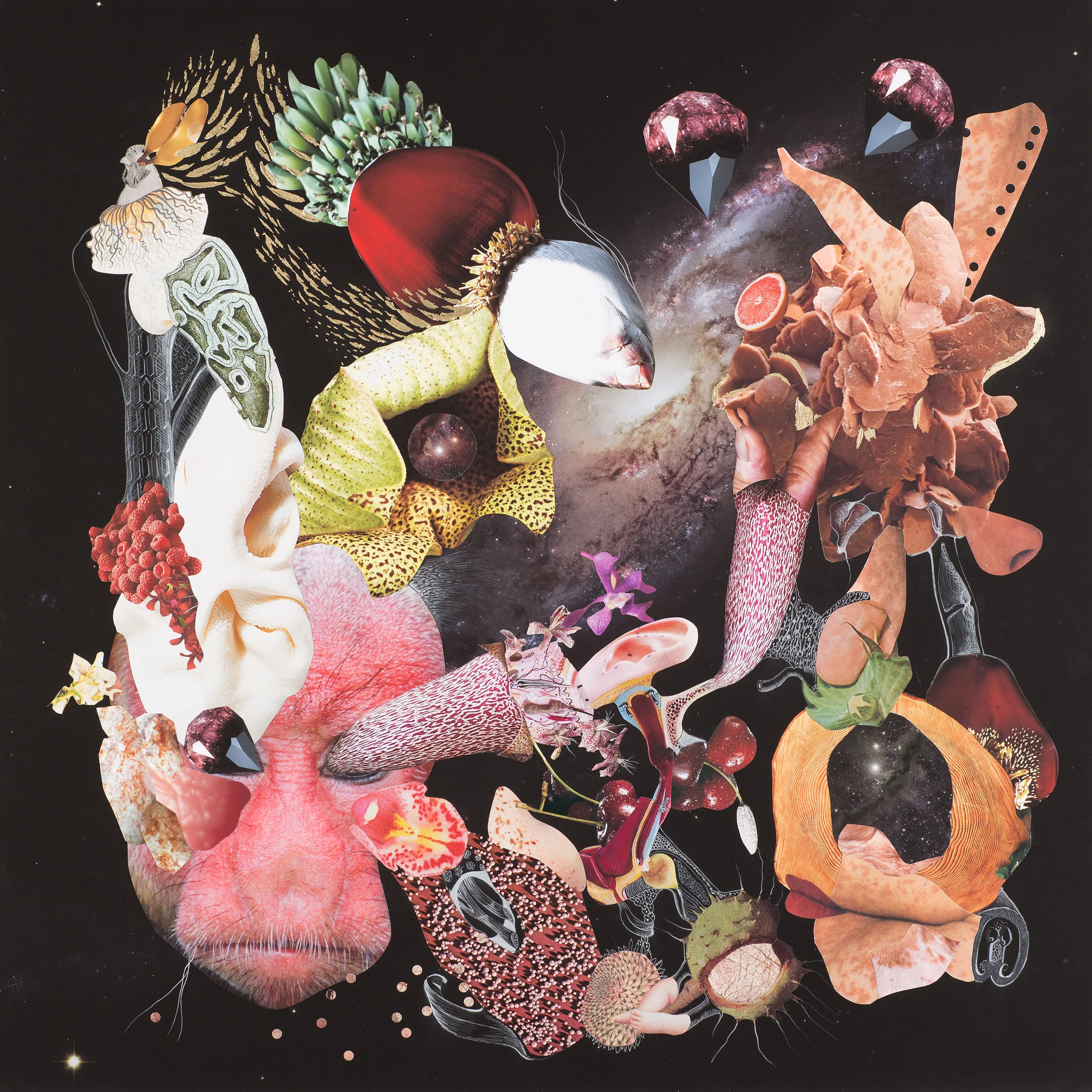 Naturaleza Cosmética Collage, lápiz y hojilla sobre impresión giclée 90 x 90 cm