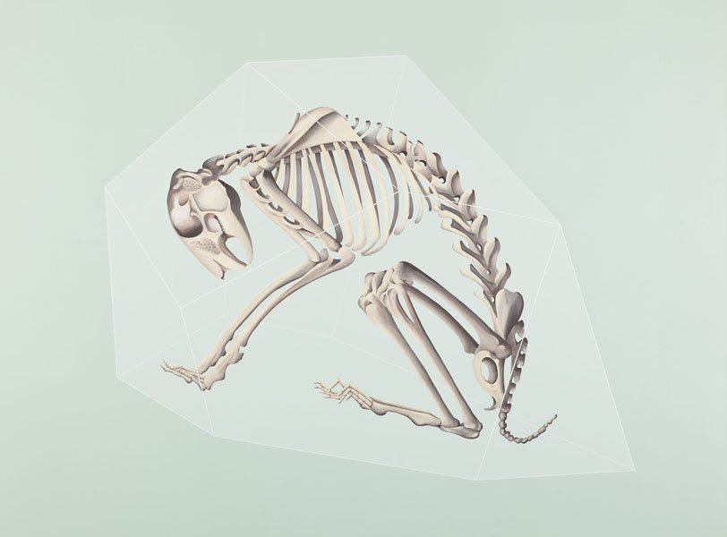 esqueleto.jpg