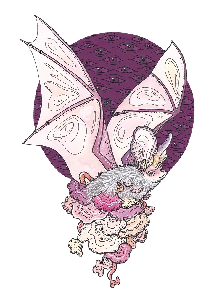 bat1.jpg