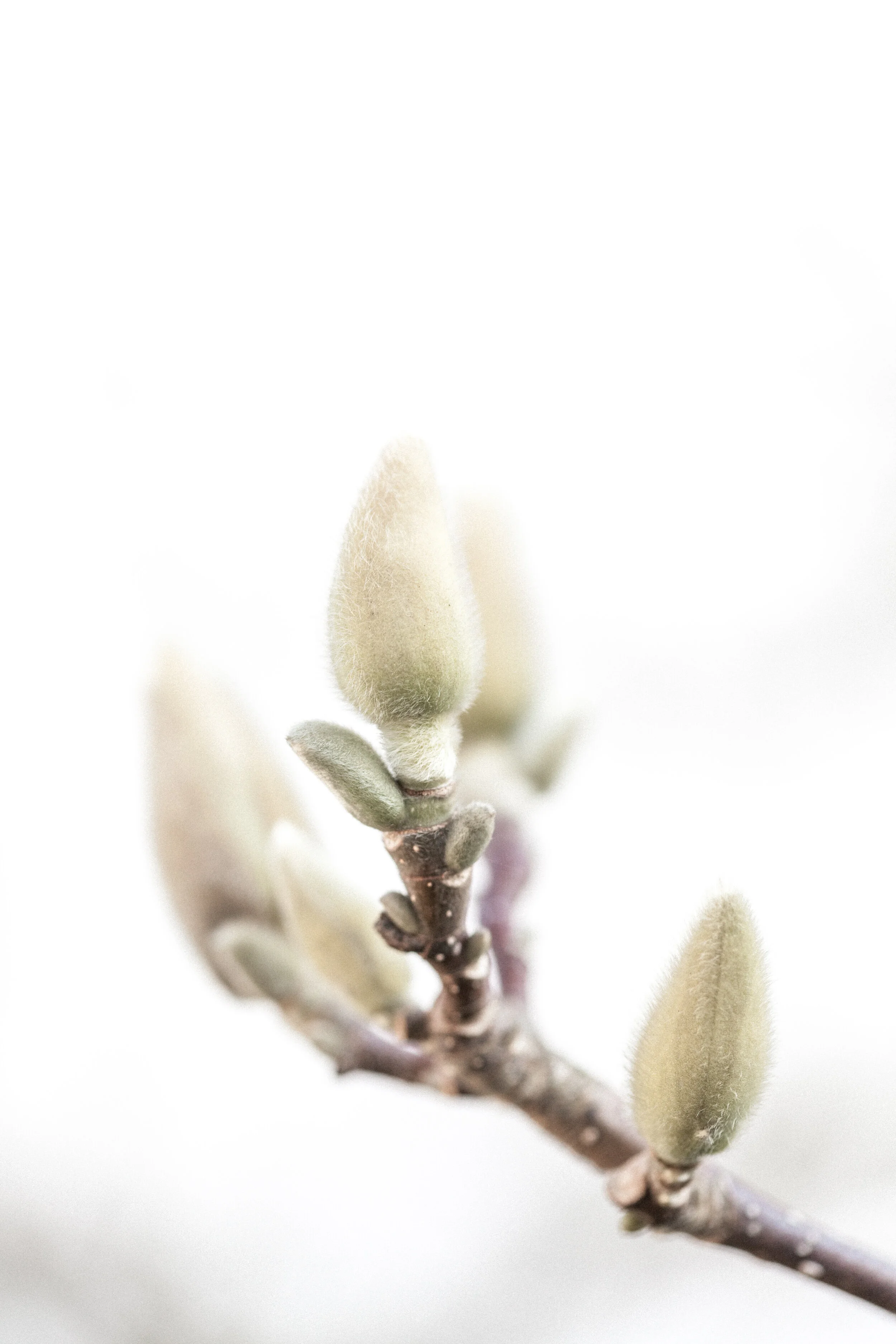 JOIN OUR HCP COMMUNITY (Copy)