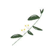 Hannah_Capps_Photography_Wedding_Nashville_HotSprings_Photographer