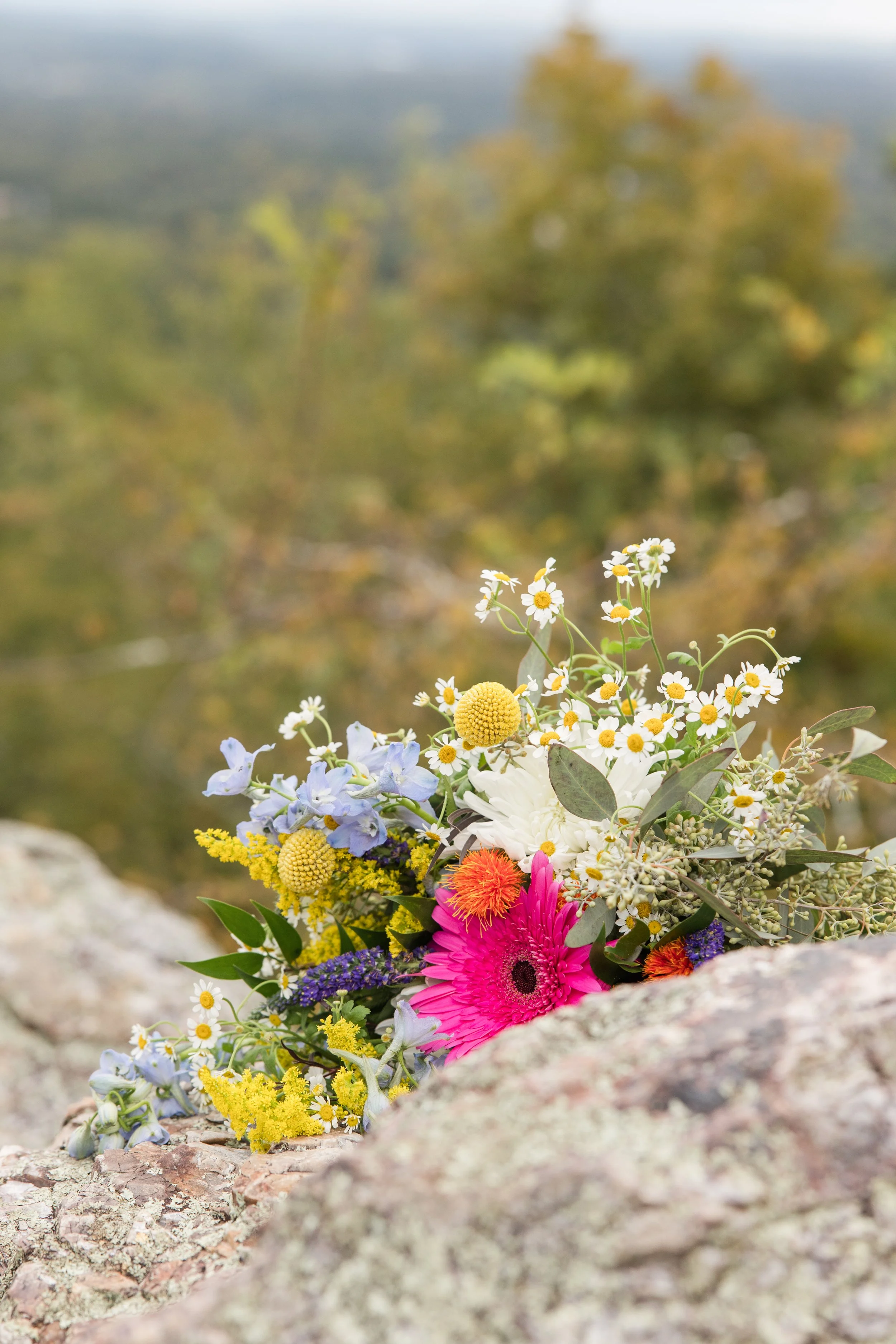 Hannah_Capps_Photography_Hot_Springs_AR_Elopement_IMG_3748.jpg