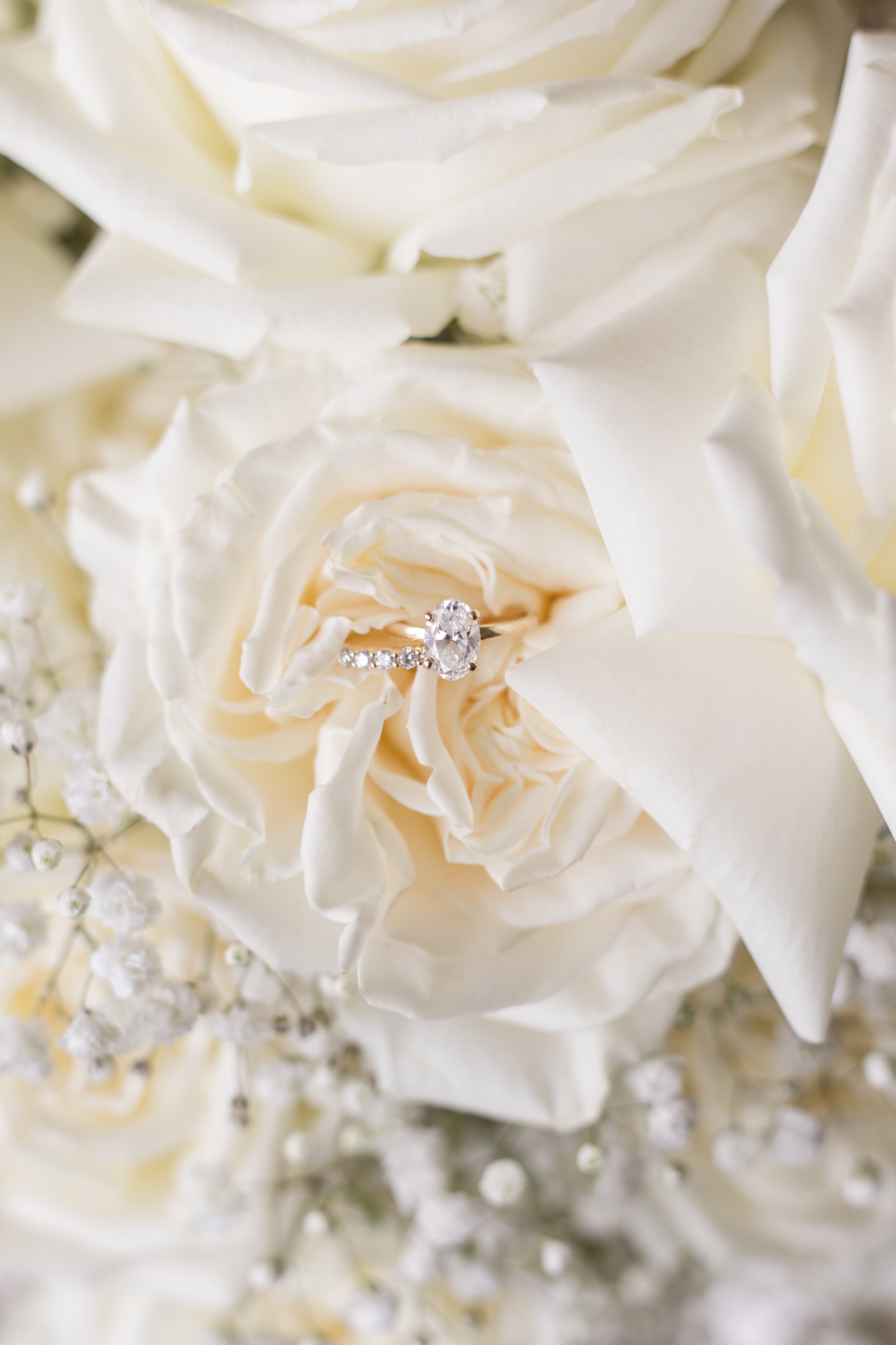 Hannah_Capps_Photography_Hot_Springs_Arkansas_Garvan_Gardens_Wedding_4Y0A9010.jpg