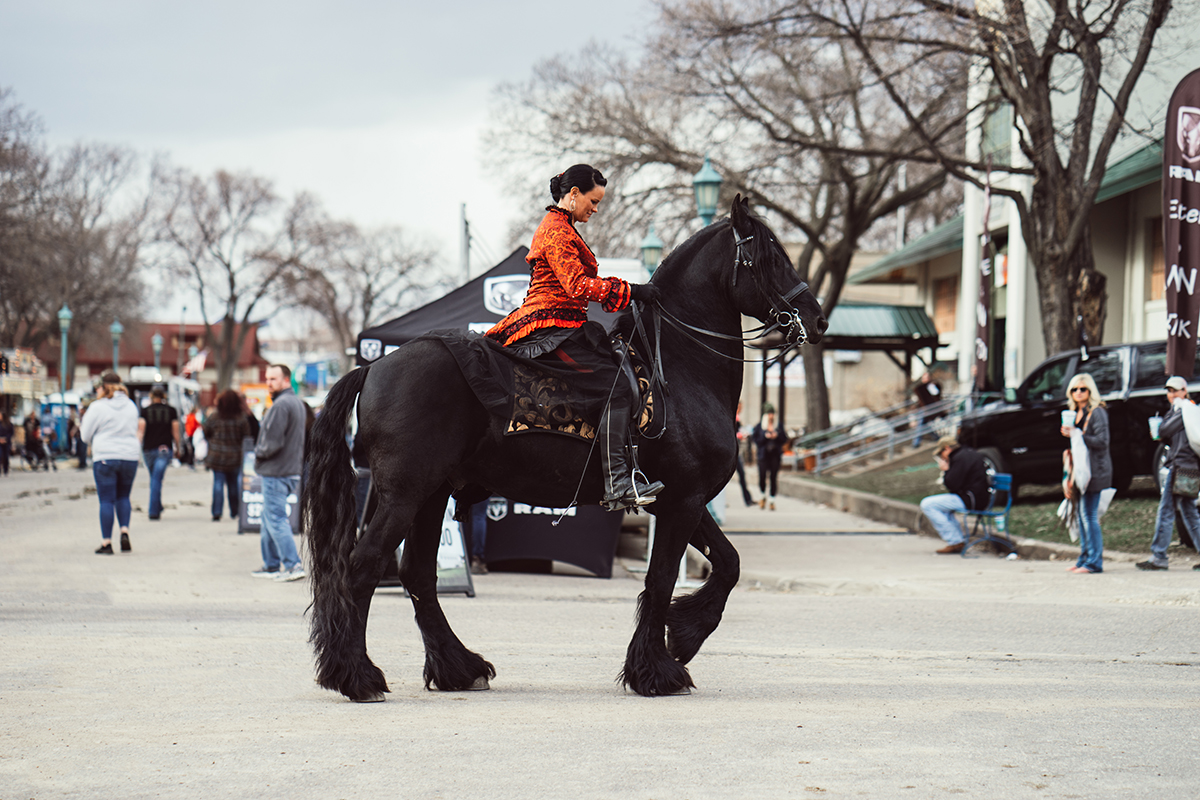 imperial friesians minnesota horse expo alyssa smolen photography.jpg