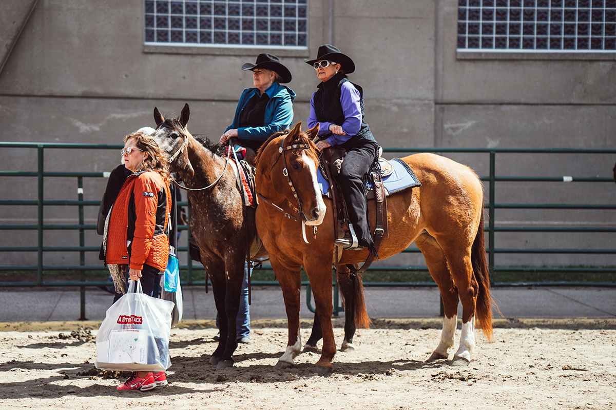 minnesota horse expo alyssa smolen photography.jpg