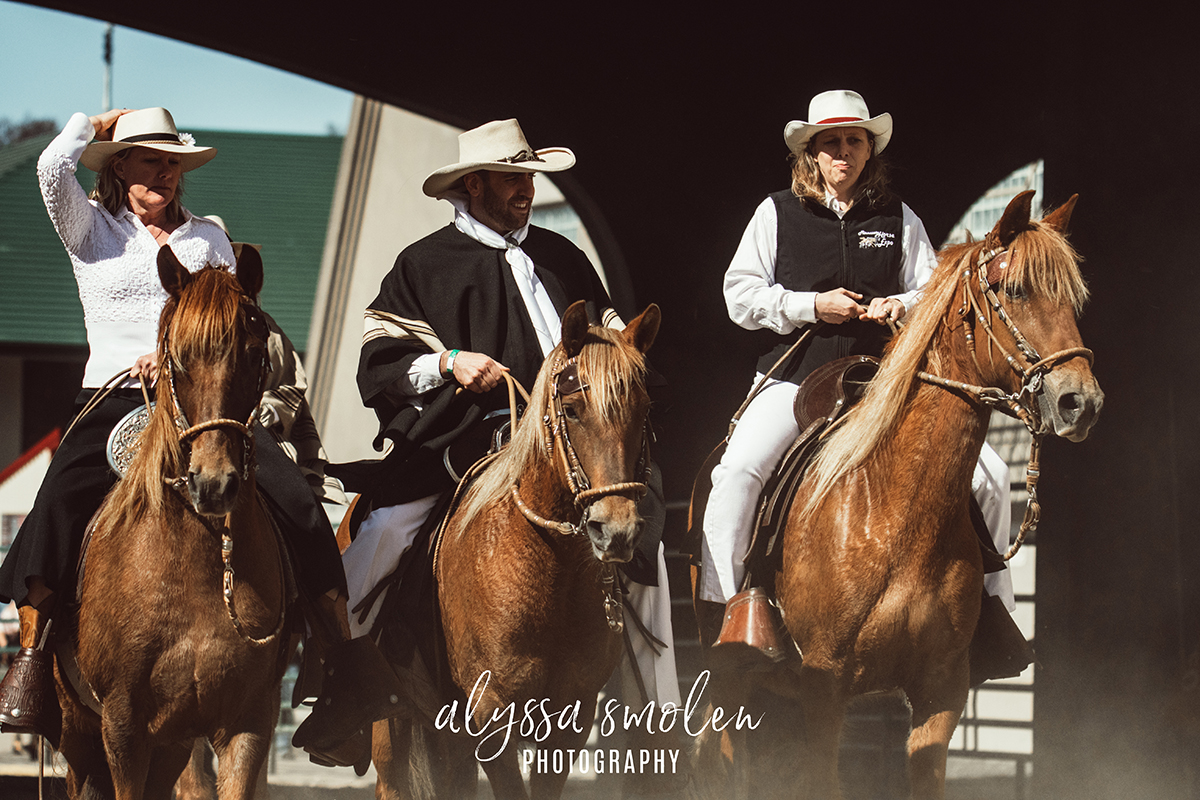 minnesota horse expo peruvian paso.jpg