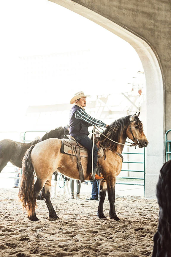 Minnesota-Horse-Expo-Friesian-Alyssa-Smolen-Photography.jpg
