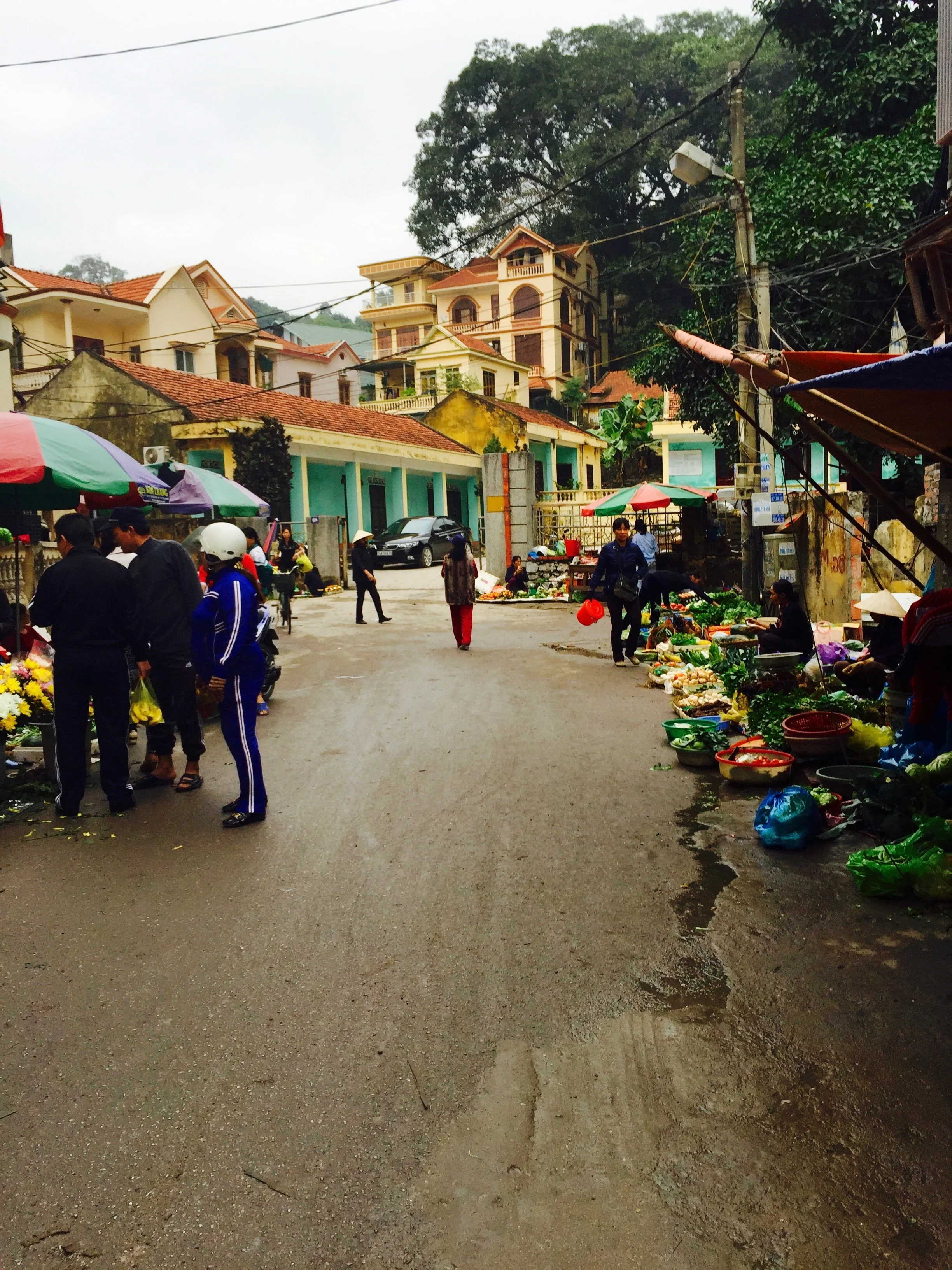  The second day we took a cab into the little market on Halong Bay.&nbsp; 