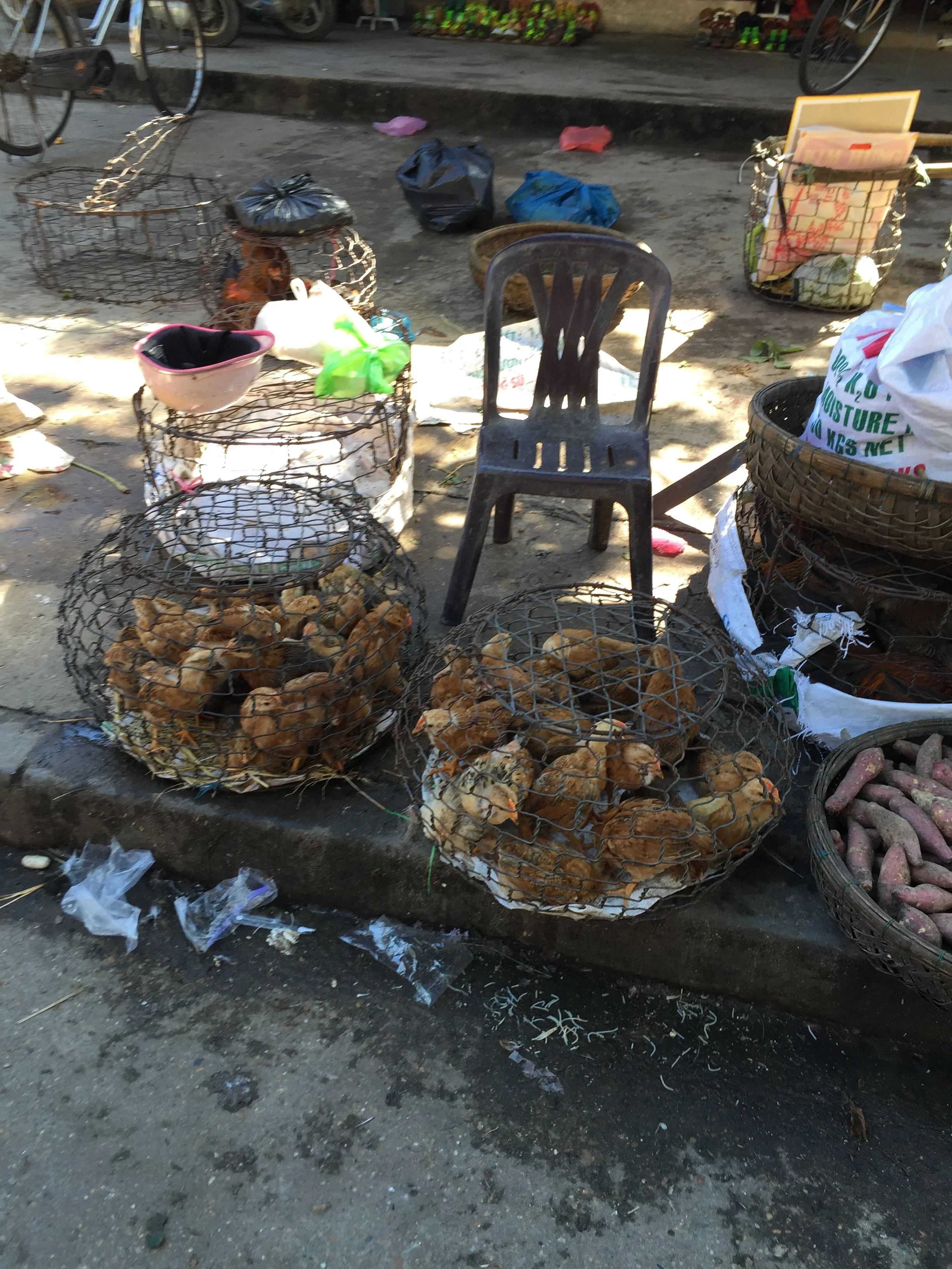  Real chickens in a cage on the side of the street. 