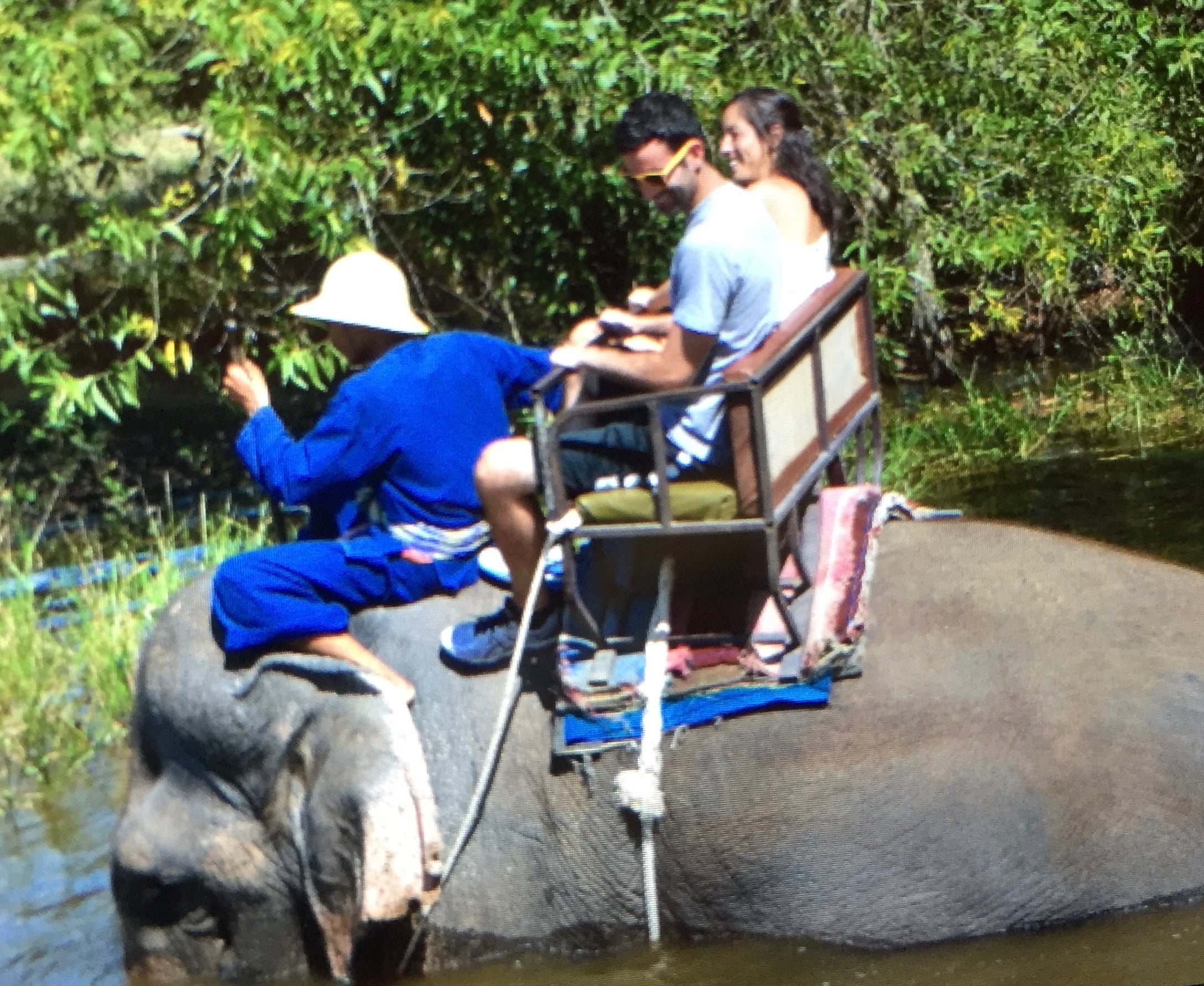  Atop the elephant, going into the water! 