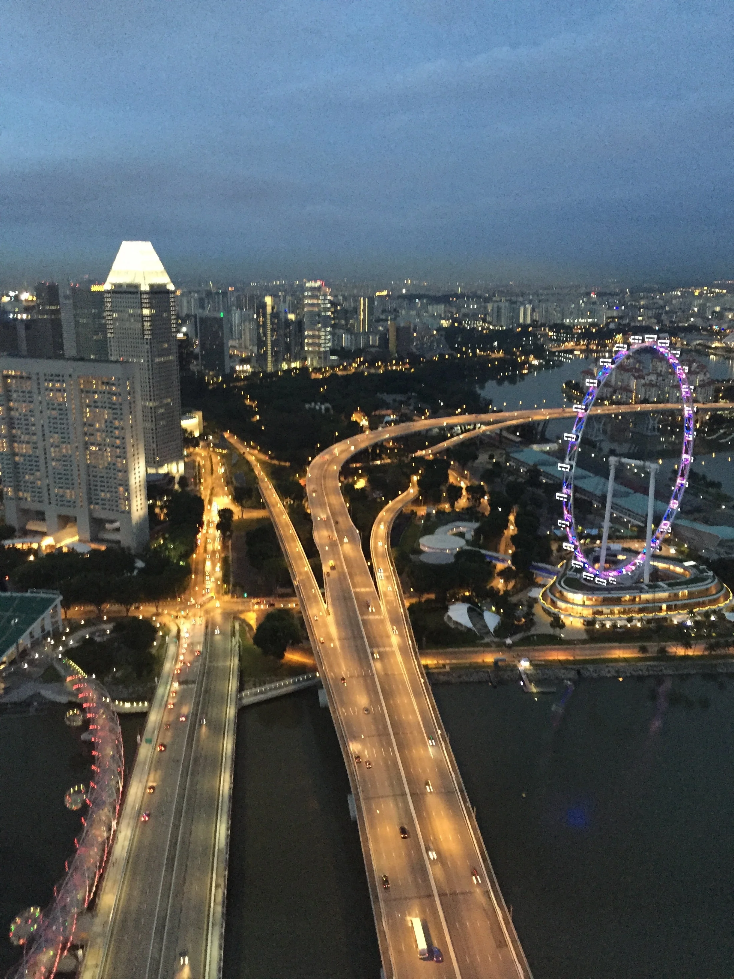  We went to the top of the Marina Bay Sands Hotel (the building with the boat on top) to see the view at night. It was magical! 