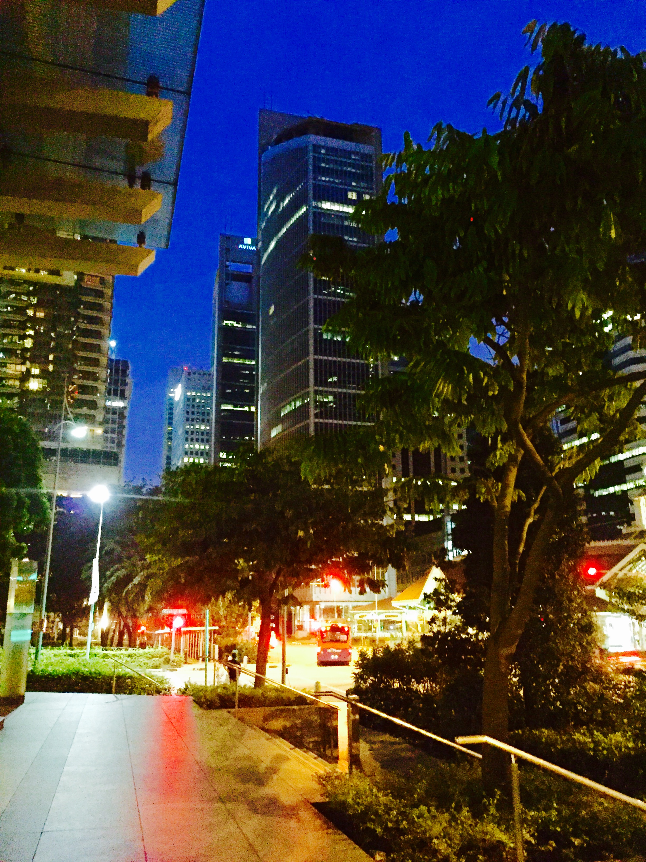  Quick snap while walking to work at dawn. Isn't it gorgeous out?! 