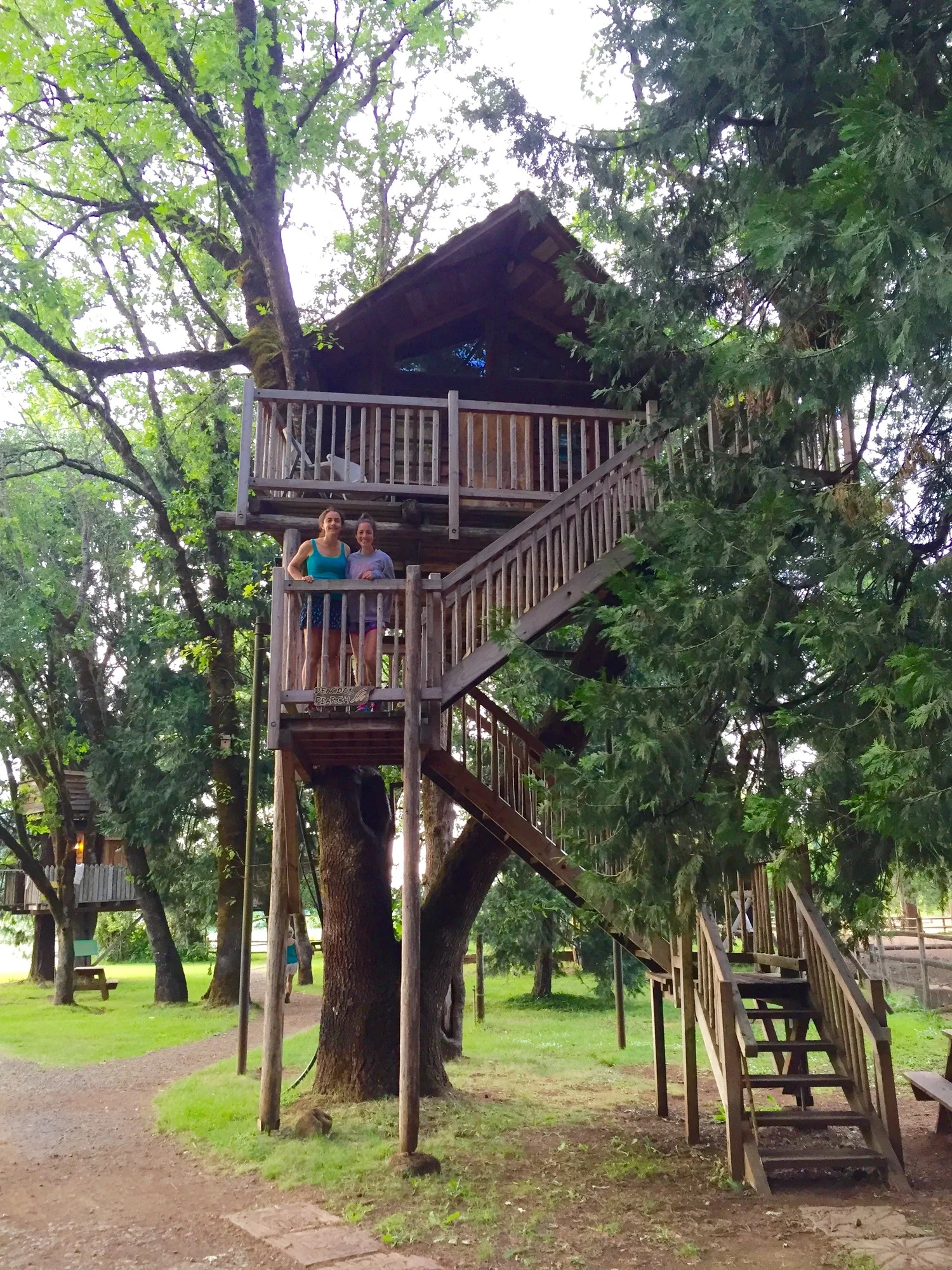 A Treehouse Adventure